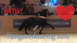 KFPS Hengstenkeuring 2016 Kampioenskeuring  stallion inspection [upl. by Elyrad]