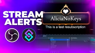 Custom STREAM ALERTS with OBS Studio amp Streamerbot  Tutorial [upl. by Jp]