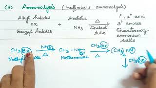 Book Exercise 6iiAmmonolysisExplanation in TamilOrganic Nitrogen Compounds [upl. by Annola509]