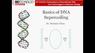 Introduction to DNA Supercoiling [upl. by Gilmour]