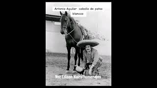 Caballo de patas blancas Antonio Aguilar interpreta Edison Nairo RDerechos de autor reservados [upl. by Adnale476]