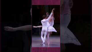 shorts Ballet Adagio From The Nutcracker nutcracer adagio ballet [upl. by Adon373]