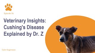 Unveiling Cushings Disease Symptoms and Treatment Explained [upl. by Aleehs]