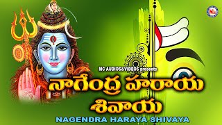 నాగేంద్ర హరయ శివయ  భగవంతుడు శివ భక్తి పాటలు  Hindu Devotional Songs Telugu  Lord Shiva Songs [upl. by Cesya]