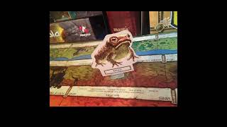 Talisman Board Game Tactics Pandoras Box [upl. by Rebecca]