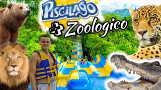 PISCILAGO 🐆 Melgar Tolima 🌊 Piscinas Toboganes y ZOOLÓGICO 🐊 EXTREMO 🦦🐢 [upl. by Gordan]