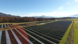 VR EnergieGenossenschaft Oberbayern Südost eG  PhotovoltaikFreiflächenanlage LaufenAspernfeld [upl. by Gayn]