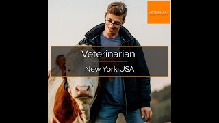 Veterinarian  Delhi New York United States [upl. by Rinaldo]