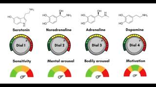 Medications and mood How the quotantidepressantsquot work THE 5 DIALS [upl. by Cutlerr504]