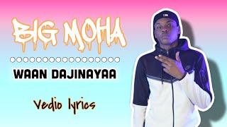 BIG MOHA  WAAN DAJINAYAA  VEDIO LYRICS [upl. by Doelling]