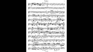 Seitz Violin Pupils Concerto No3 Op12 Student 賽茲 賽滋 小提琴 學生 協奏曲 第三號 Score Sheet 譜 樂譜 谱 楽譜付き 【Kero】 [upl. by Llemrej855]