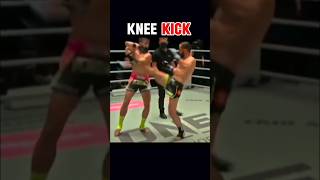 Knee kicktutorial 🥊🔥 shortsfeed kicboxing champion muathai viralvideo karate combatsports [upl. by Ennylhsa]