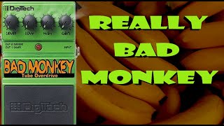 DigiTech Bad Monkey not working [upl. by Asilak]