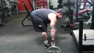 Pendlay Rows  Upper Back Exercises [upl. by Yvor]