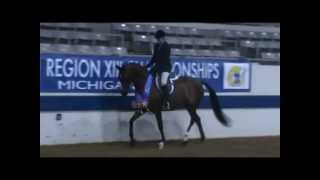 Firelight Arabians 2012 Year End Video [upl. by Hume]