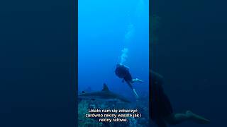 Ostatnie dni na Caye Caulker 🤿🌊 podróże belize scubadiving shark polandadventures vlogvideo [upl. by Anivle]