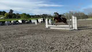 Going to and AampP show tmrw fypシ゚viral showhunter hunterjumper equestrain [upl. by Neraj511]