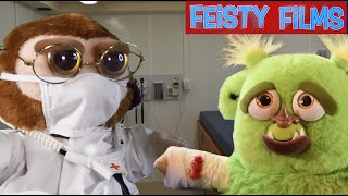 Sick Feisty Pets in Quarantine Compilation [upl. by Reid901]