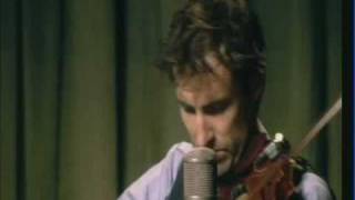 Andrew Bird  Plasticities live In The Basement [upl. by Aneahs]