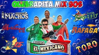 Tecno Bandas Quebraditas Exitos  Machos El Mexicano Banda Cuisillos Maguey Pequeñosy Mas [upl. by Gnilyarg862]