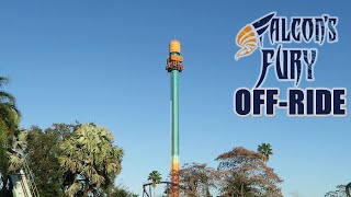 Falcons Fury OffRide Footage Busch Gardens Tampa Intamin Drop Tower  NonCopyright [upl. by Stacy183]