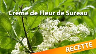 RECETTE  Crème à la fleur de Sureau [upl. by Harahs]