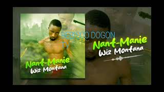 Wiz Montana Nantoumani [upl. by Aun933]