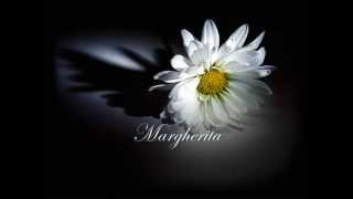 Margherita  Riccardo Cocciante with lyrics [upl. by Woehick]