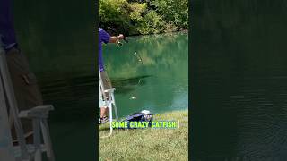 CRAZIEST Catfish Baits That Work WONDERS shorts fishing [upl. by Will839]