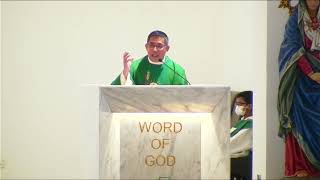 Homily Extraction  5th Sunday of Ordinary Sunset Mass [upl. by Anasiul]