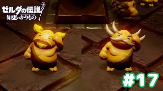 【ゼルダの伝説 知恵のかりもの】ゴロン界の金さん銀さん的な存在【17】 [upl. by Etireugram727]