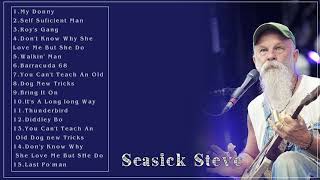 Seasick Steve Greatest Hits  Seasick Steve Full ALbum 2022 [upl. by Swetiana286]