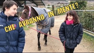 SELLO un CAVALLO DA MONTA AMERICANA per la PRIMA VOLTA 😍 [upl. by Medrek]