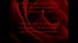 Luz Casal  Historia De Un Amor Lyrics with translation [upl. by Oiluig182]