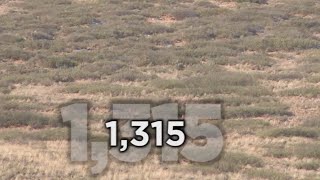 Long Range Hunting  54 KILL SHOTS  Extreme Outer Limits TV [upl. by Eiramllij]