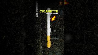 CIGARETTE सिगरेट EXPERIMENT  shorts [upl. by Oidacra]