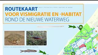 Samenwerkingsverklaring en Routekaart vismigratie RijnWest [upl. by Ausoj]