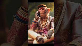 very nice MonkyesSMS CREATION amp ENTERTAINMENT Pls Subscribe🔔amp Like👍ampShare👉amp Comment [upl. by Pacificia961]