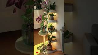 Unique Plant Decoration for Home homedecorgoals homedecor [upl. by Munt]