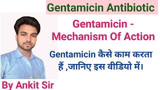 Aminoglycoside  Gentamicin Bactericidal  Destroy the Bacterial Cell Wall medical nursing [upl. by Sailesh675]