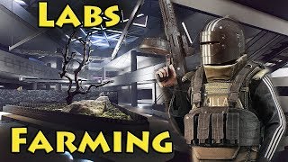 Farming Lab with Hair  Escape From Tarkov [upl. by Steere]