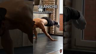 PLANCHE TUTORIALS calisthenics workout shortclip [upl. by Eendyc60]