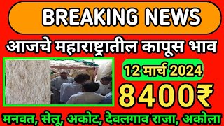 आजचे कापुस बाजार भाव दिनांक 12 मार्च 2024  kapus bhav today  महाराष्ट्रतिल कापूस भाव [upl. by Odrareg62]