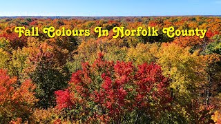 Fall Colours In Norfolk County [upl. by Lirrehs395]