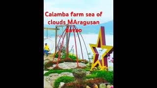 super ganda dto Calamba farm [upl. by Grochow]