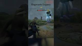 Hogwarts Legacy 🪄 [upl. by Fabiano874]