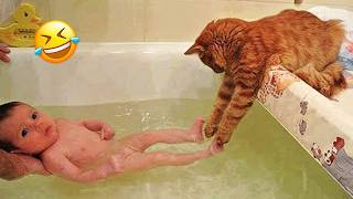 New Funny Animals 😂😁 Funniest Cats and Dogs Videos 😺🐶cutecatdog [upl. by Novanod]