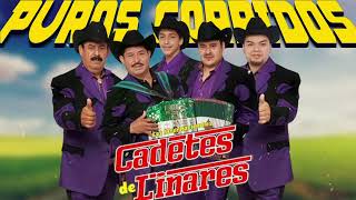 Los Cadetes de Linares  Colección de Éxitos Inolvidables  Puros Corridos Mix [upl. by Maillij]