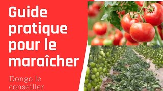 entreprenariat agricole comment réussir le maraîcher  voici le plan étapes par étapes [upl. by Gurl92]