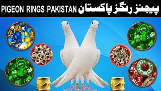 Pigeon Rings Pakistan [upl. by Ynoble]